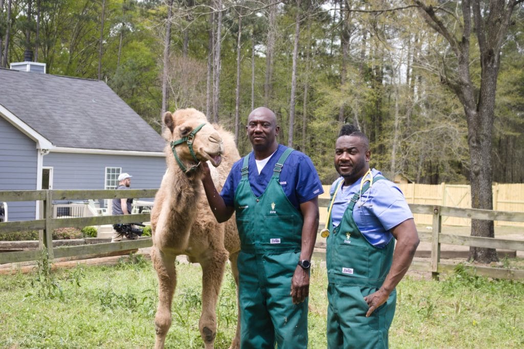 Dr. Hodges and his team smile with camel
