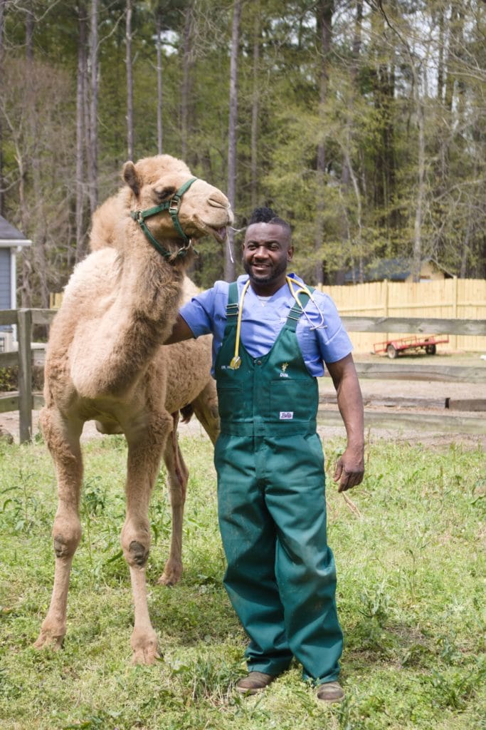 Dr. Hodges smiles with a camel