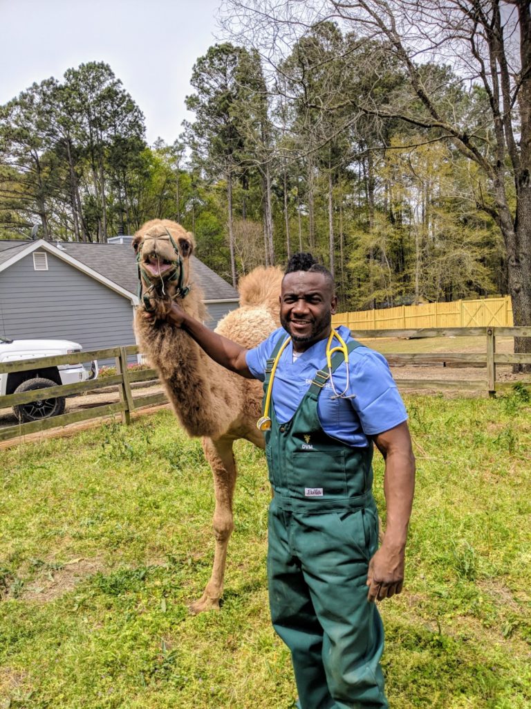 Dr. Hodges with a camel